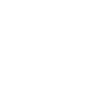OptiFuel International